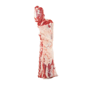 25 Striplion